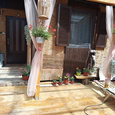 Kucica Za Odmor Lena I Matija Daire Karlofça Dış mekan fotoğraf